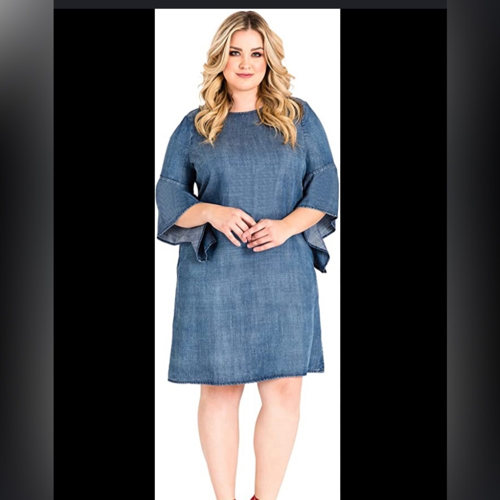 Standards & practices Denim dress